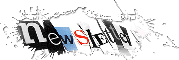 realizzazione software, sistemi di gestione newsletter