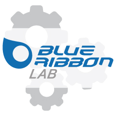 Interfacciamento software gestionale / sito ecommerce BlueRibbonLab ...