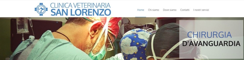 Home - Clinica Veterinaria San Lorenzo