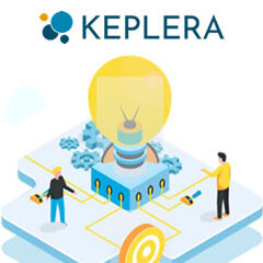 Social media strategy per Keplera